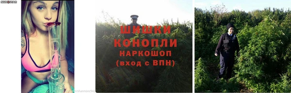 спайс Абаза