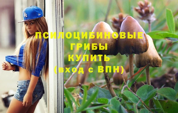 стафф Абдулино