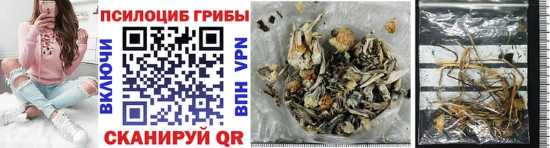 Псилоцибиновые грибы мицелий  Адыгейск 